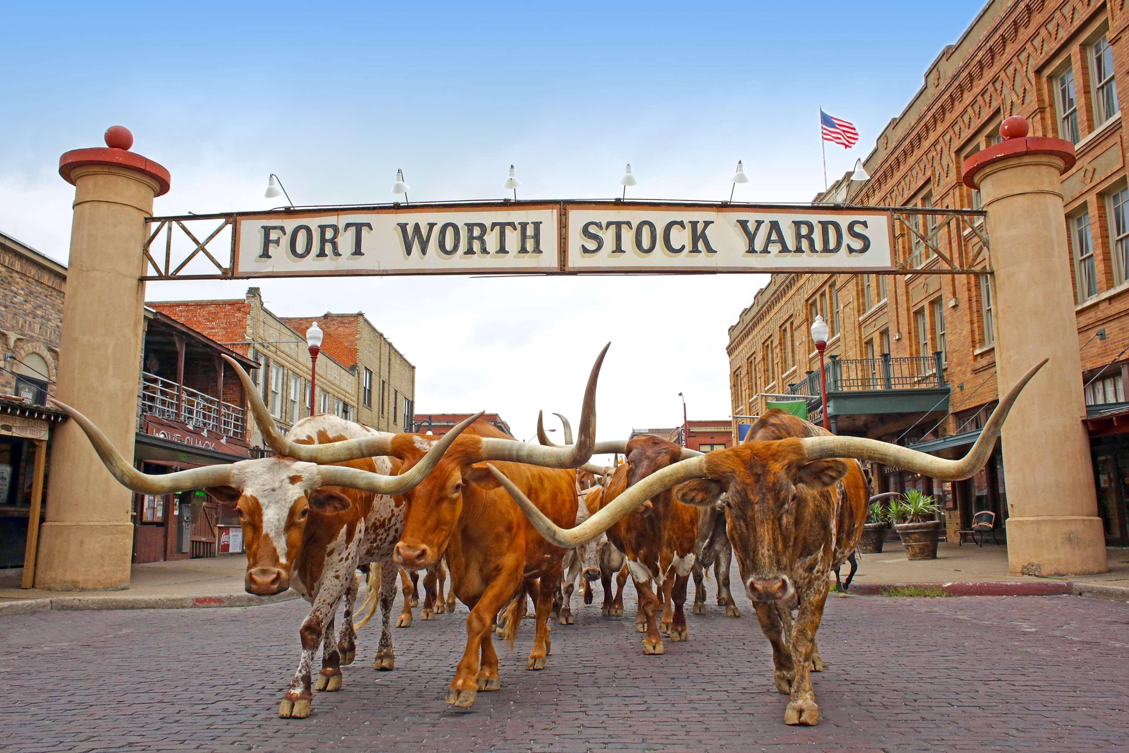 Radisson Hotel Fort Worth North-Fossil Creek Exteriér fotografie